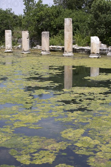 Ancient Pool and Agora