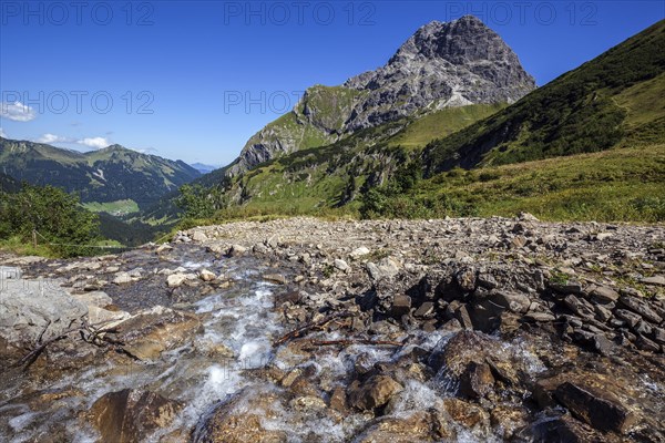 Mountain stream in the Baergunttal