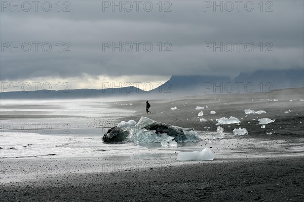 Pieces of ice lying on wide black beach