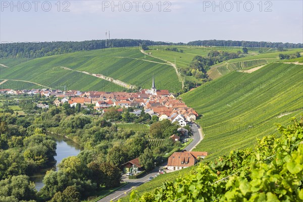 Escherndorf am Main near Volkach