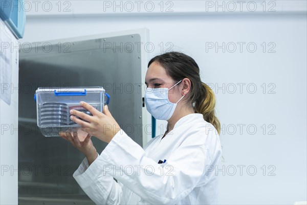 Young laboratory assistant with sample and laboratory glasses working in a laboratory with laboratory equipment