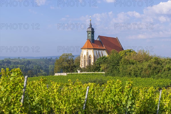Pilgrimage church Maria im Weingarten