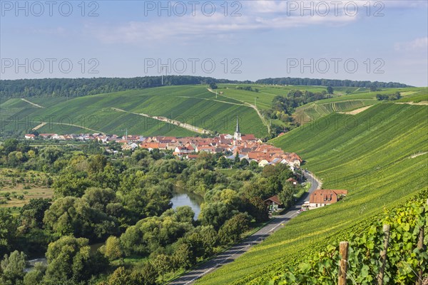 Escherndorf am Main near Volkach