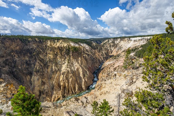 Yellowstone River flows through Gorge