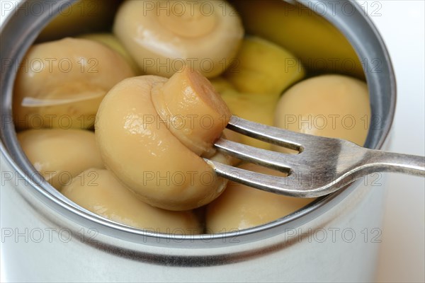 Canned pickled common mushrooms