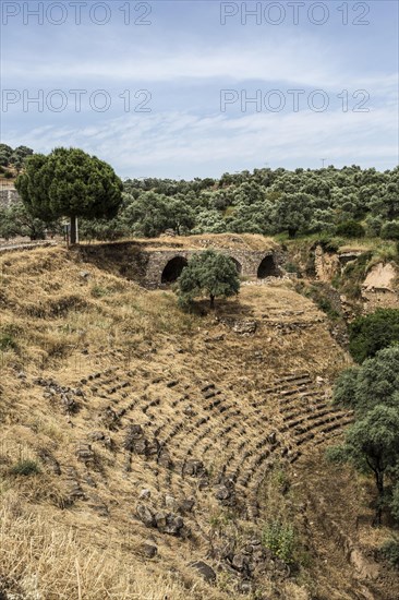 Nysa was an ancient city in Caria