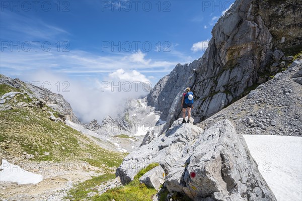 Hiker standing on a rock