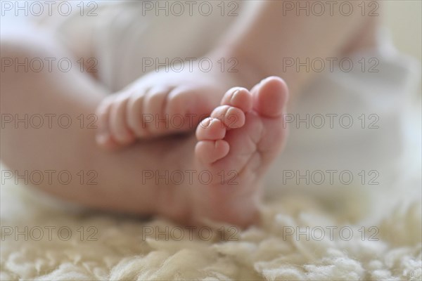 Baby feet