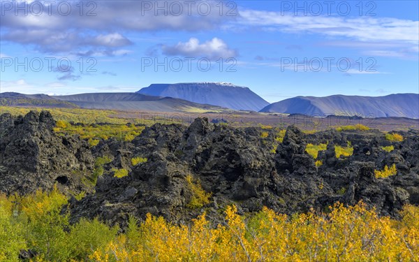 Dimmuborgir lava field and Tuffring Ludent