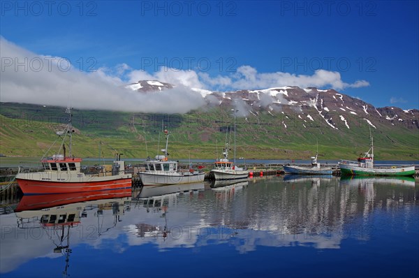 Small fishing boats and high