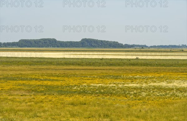 Hut pastures in the conservation zone of the Lange Lacke