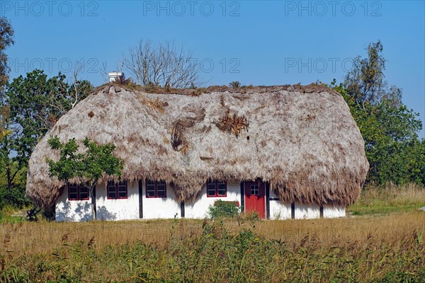 Houses with roofs made of seaweed