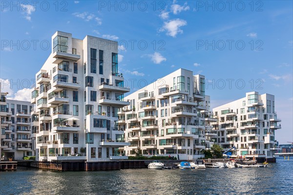 Havneholmen