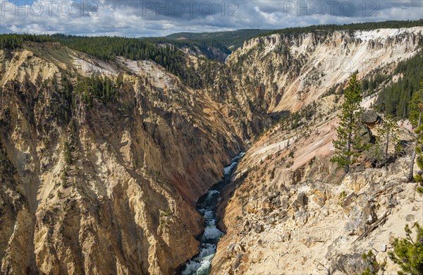 Yellowstone River flows through Gorge