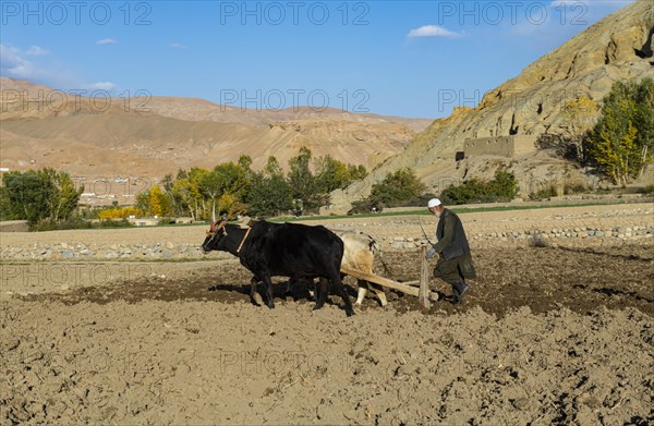 Basic rural fieldwork