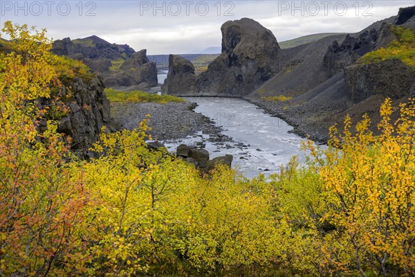 Colourful autumn colours at the basalt formations of Hlooaklettar