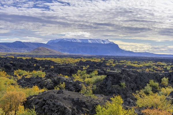 Burfell and lava field Dimmuborgir with autumn coloured birch vegetation