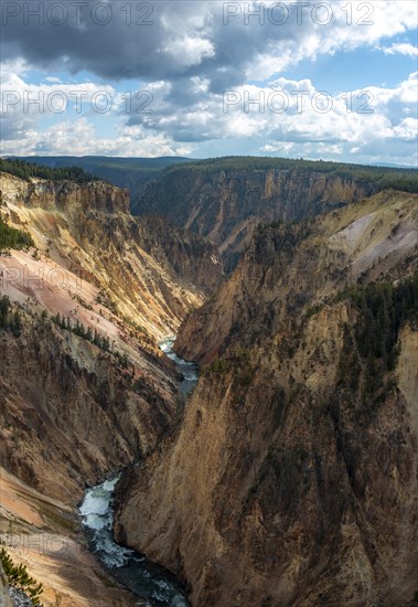Yellowstone River flows through Gorge