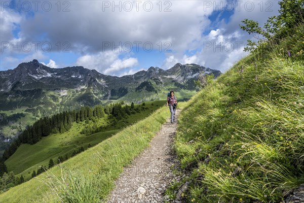 Hiker on a hiking trail