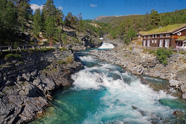 Rapids