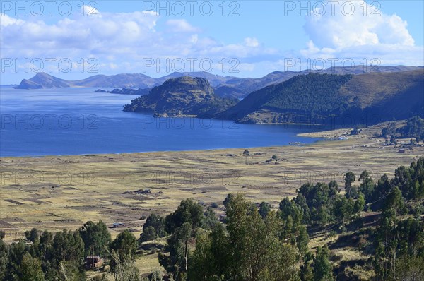 Fields on the shore of Lake Titicaca