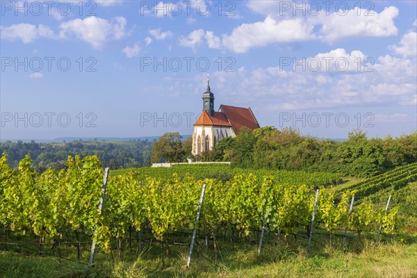 Pilgrimage church Maria im Weingarten