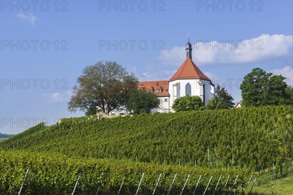 Vineyard with Vogelsburg with church Mariae Schutz