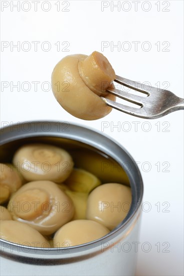 Canned common mushroom