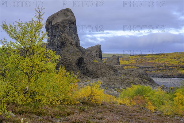Colourful autumn colours at the basalt formations of Hlooaklettar