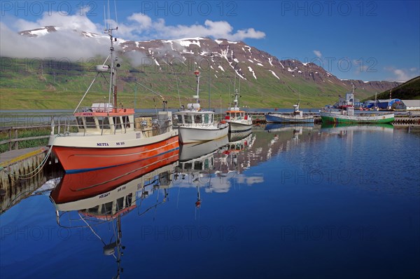 Small fishing boats reflected in the harbour basin