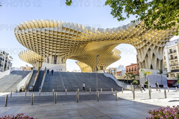 Setas de Sevilla