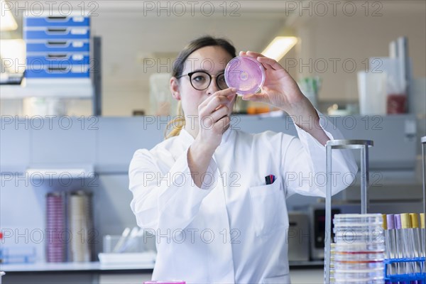 Young laboratory assistant with sample on petridish works in a laboratory with laboratory equipment