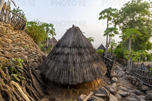 Tradtional build huts of the Otuho or Lutoko tribe in a village in the Imatong mountains