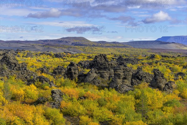 Lava field Dimmuborgir with autumn coloured birch vegetation