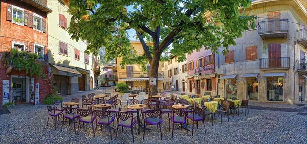 Lovely town square with tree