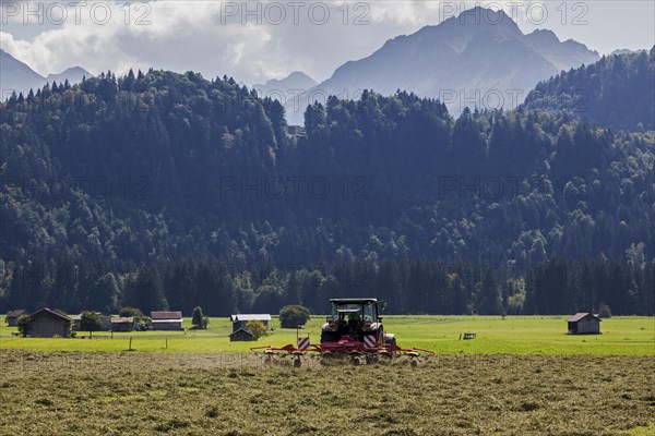 Haymaking with tractor