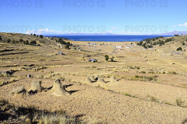 Harvested fields at Lake Titicaca