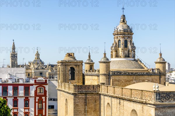 View of Annunciation Church and Cathedral of Seville in the capital city of Andalusia