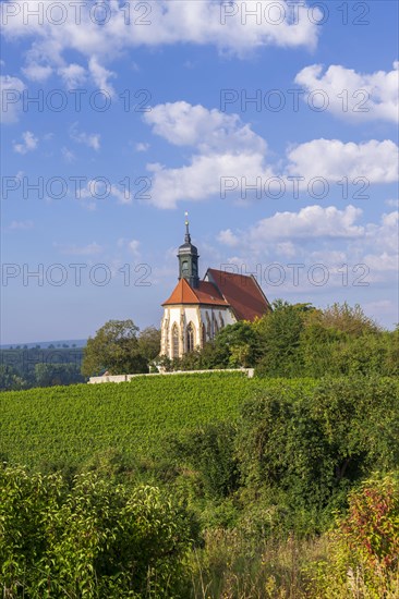 Pilgrimage church Maria im Weingarten