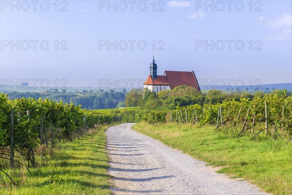 Pilgrimage church Maria im Weingarten