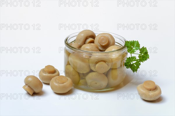 Canned common mushrooms