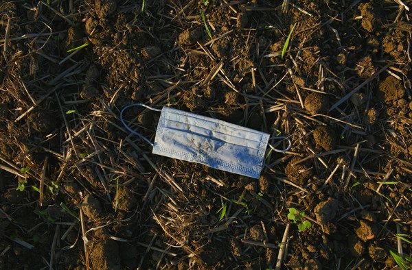 Discarded mouth mask lies on soil