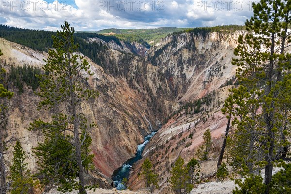 Yellowstone River flows through Gorge