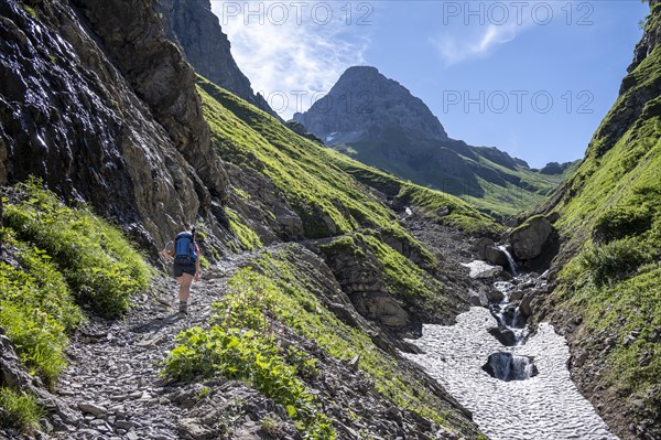 Hiker on a hiking trail