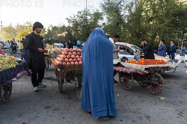 Local shop vendors