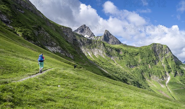 Hiker on a hiking trail