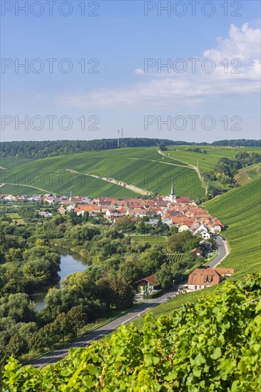 Escherndorf am Main near Volkach