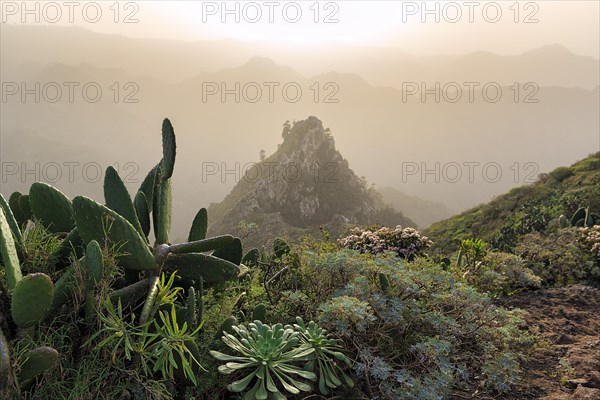 View of rock formation in the evening haze