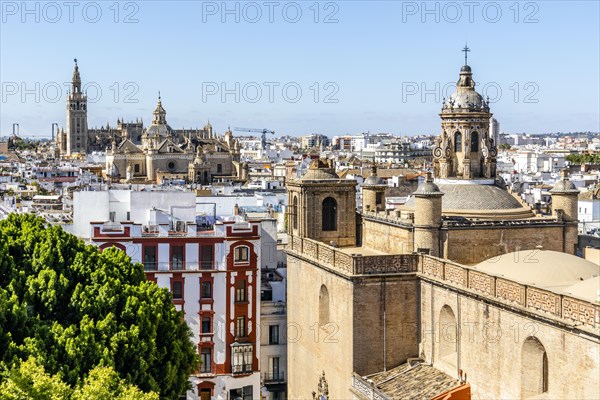 View of Annunciation Church and Cathedral of Seville in the capital city of Andalusia
