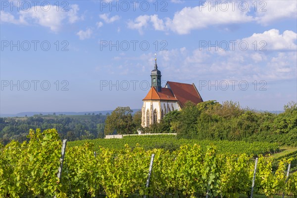 Pilgrimage church Maria im Weingarten